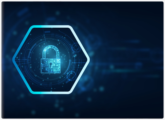 Data Protection Article