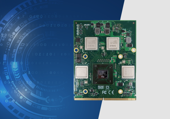 Hailo Aetina Ai Accelerator MXM Module